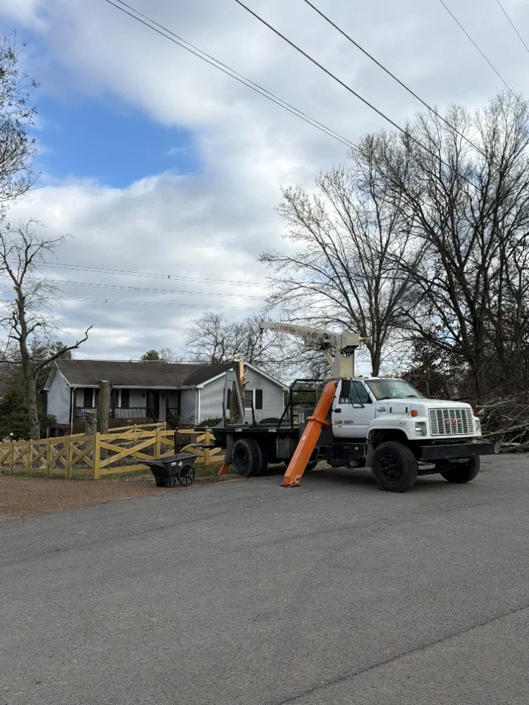 Bucket truck and chipper truck removing large tree from residential property with debris management